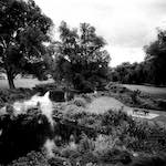 Image: Third image from the photoset 'revisited (xix)'.