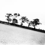 Image: Fourth image from the photoset 'revisited (xix)'.