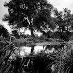 Image: Sixth image from the photoset 'revisited (xix)'.