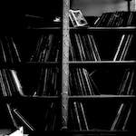 Fifth image from the photoset 'revisited (xx)'.