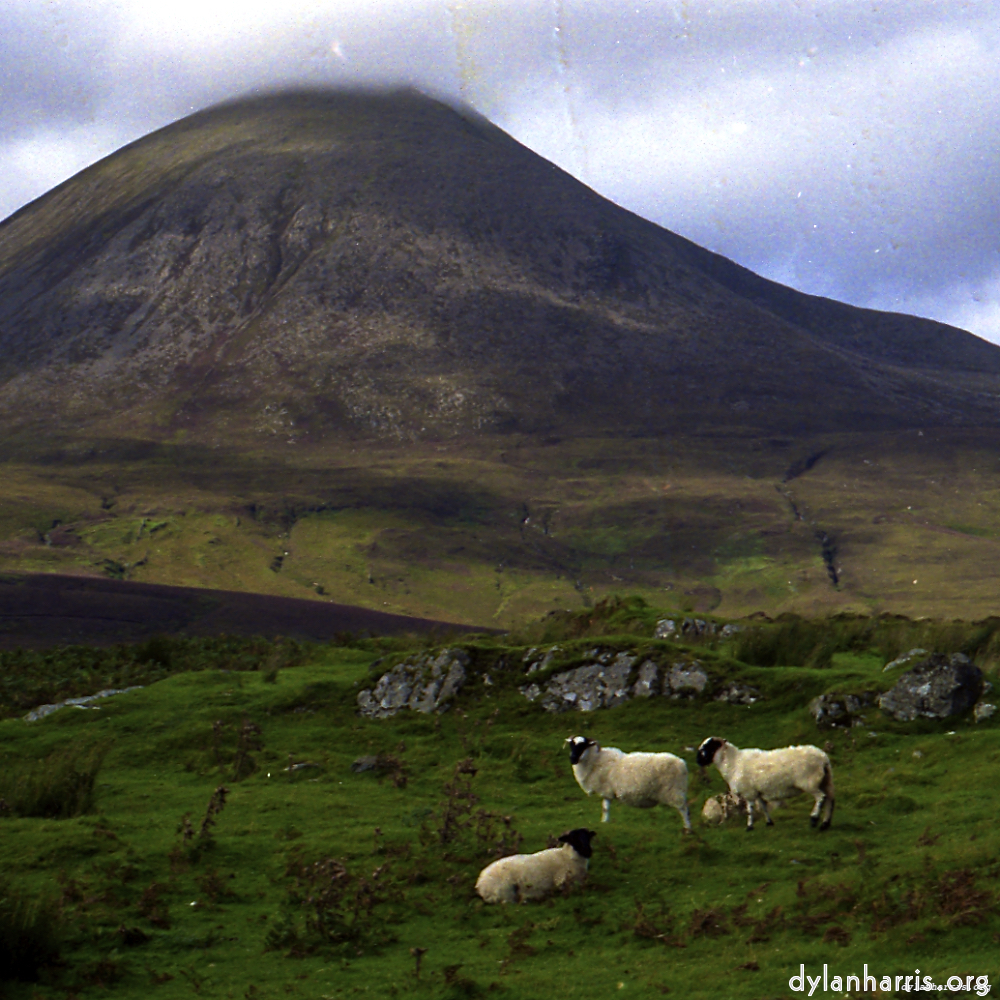 image: This is &lsquo;revisited (xi) 7&rsquo;.