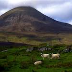 image: Image from the photoset &lsquo;revisited (xi)&rsquo;.