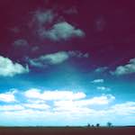 Image: First image from the photoset 'fen (iv)'.