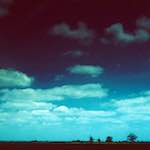 Image: Third image from the photoset 'fen (iv)'.