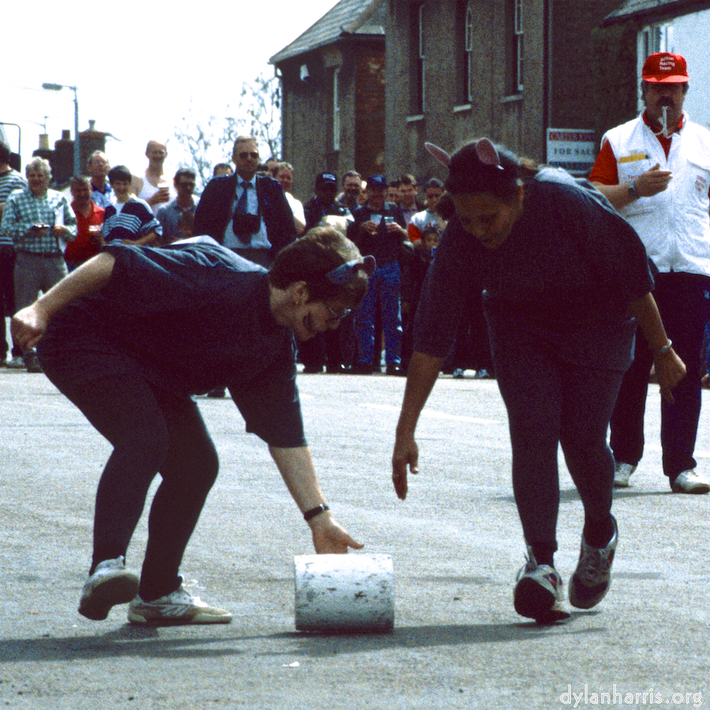 Image 'stilton (ii) 5'.