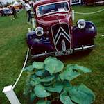 Image: Seventh image from the photoset 'citro&euml;n (xxii)'.