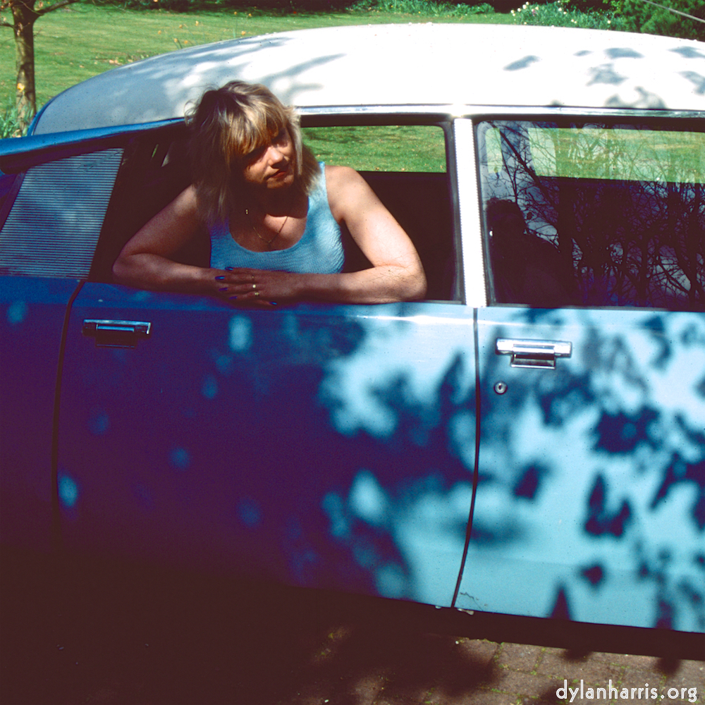 image: Voici &lsquo;dawn (iv) 1&rsquo;.