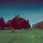 Second image from the photoset 'crowland'.