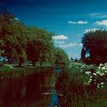 Third image from the photoset 'crowland'.