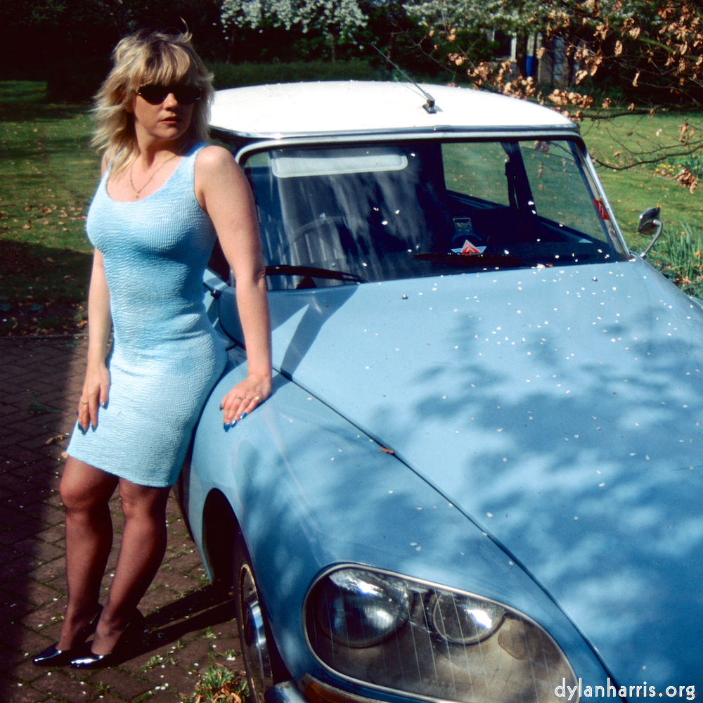 Image: Image 'dawn (x) 1'.