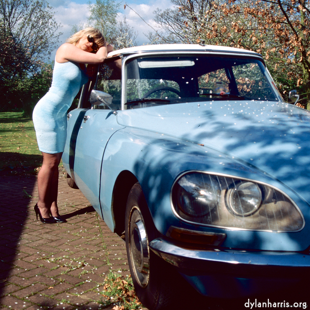 Image: Image 'dawn (x) 3'.