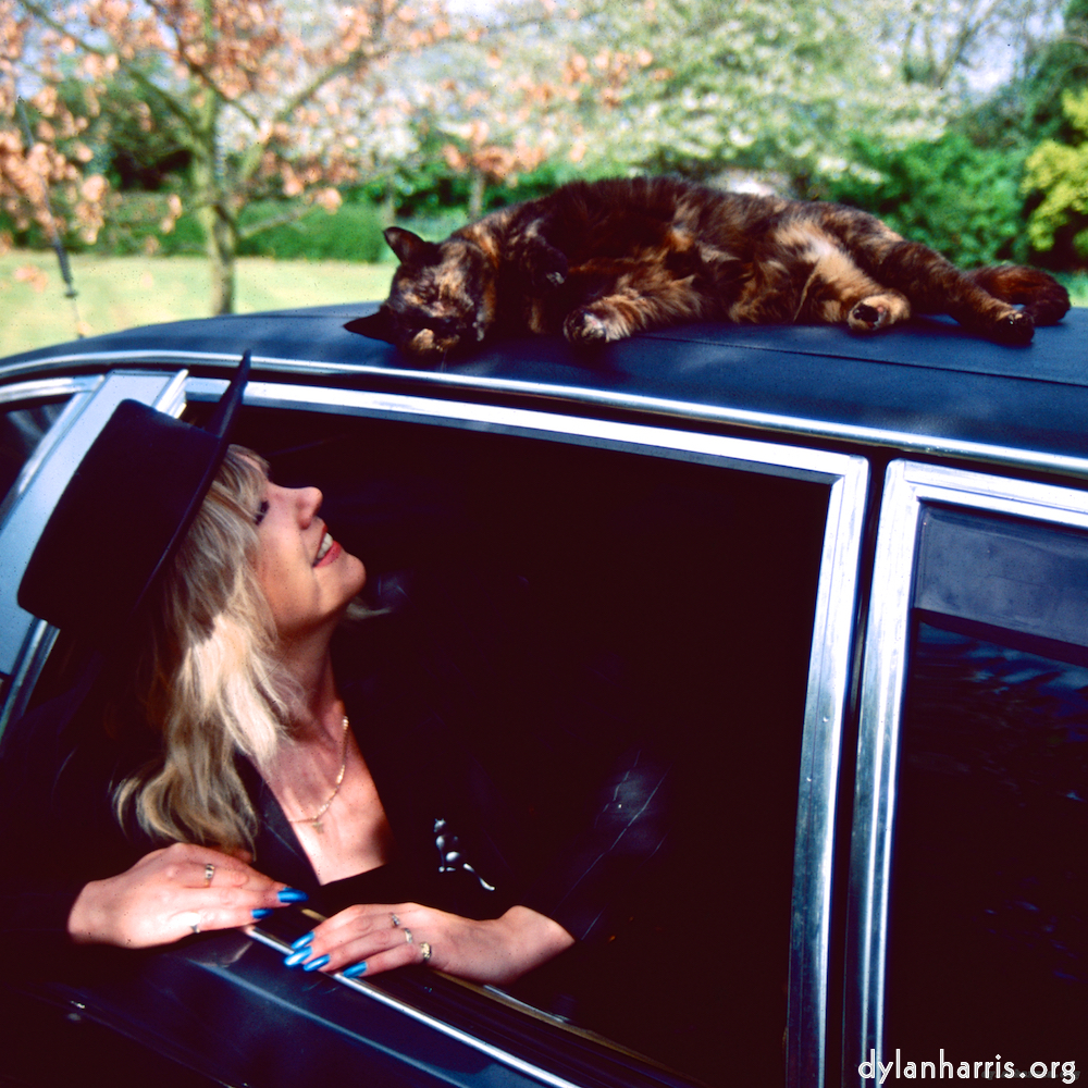 Image: Image 'dawn (vii) 3'.