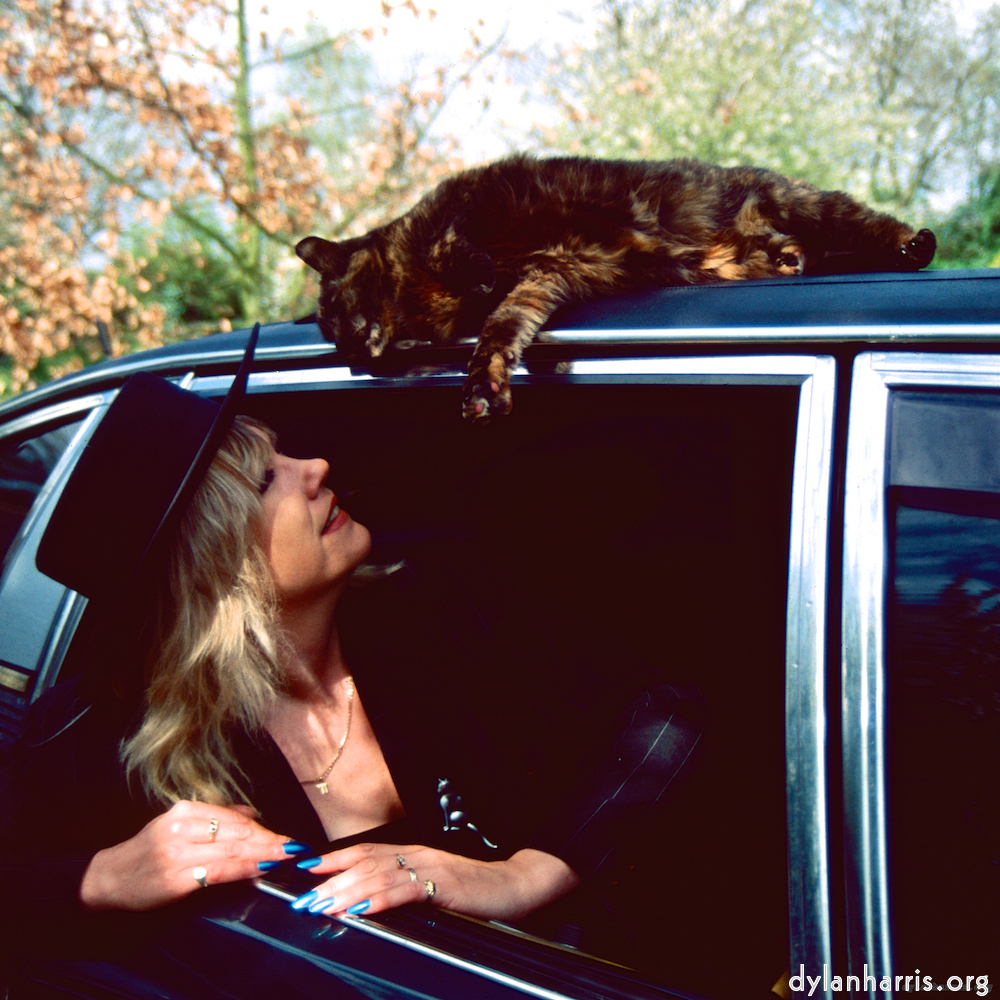 Image: Image 'dawn (vii) 5'.