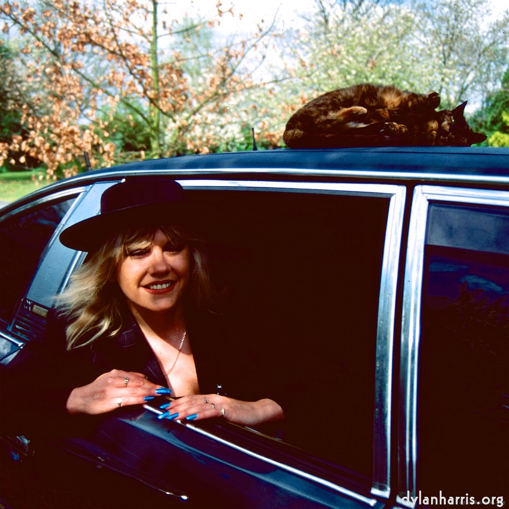 Image: Image 'dawn (vii) 7'.