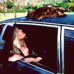 Image: Second image from the photoset 'dawn (vii)'.