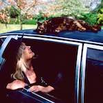 Image: Third image from the photoset 'dawn (vii)'.