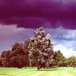 First image from the photoset 'brass'.