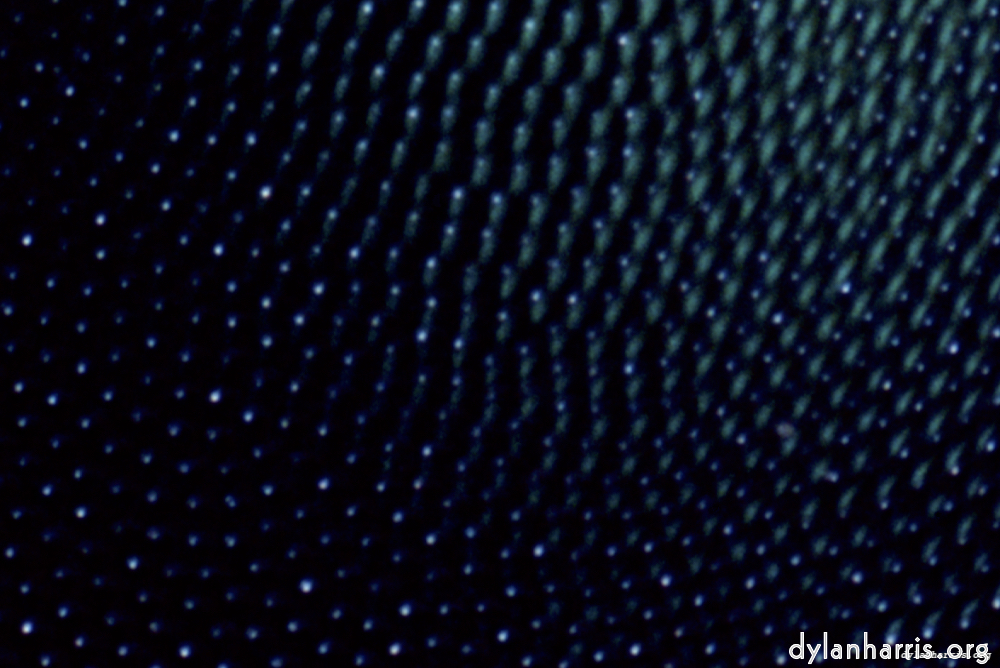 image: This is &lsquo;fire & ice (xli) 1&rsquo;.