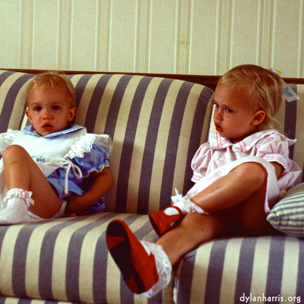 Image 'family (xvi) 1'.