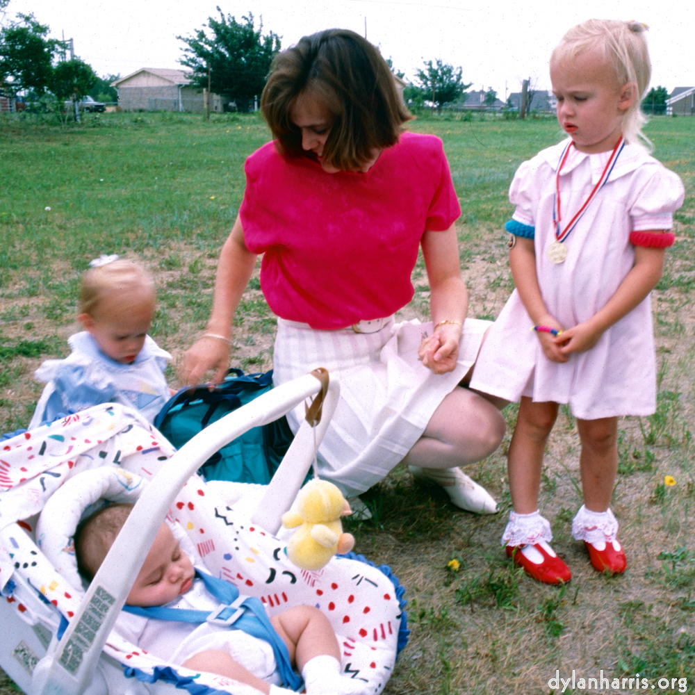 Image: Image 'family (xvi) 6'.