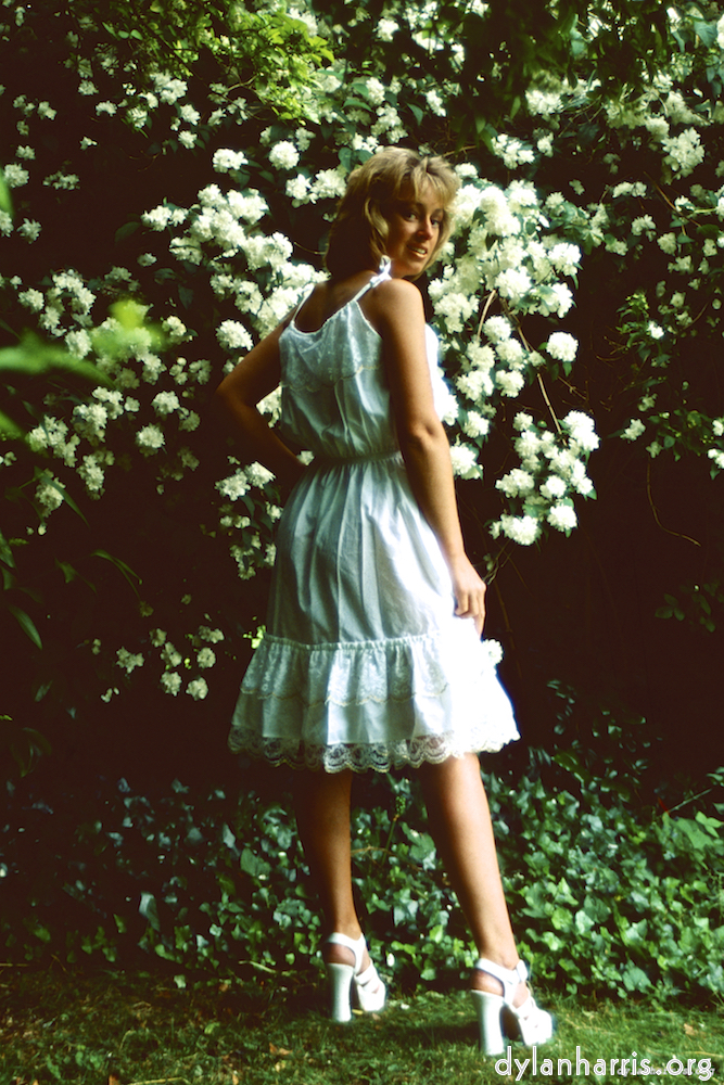 Image 'lisa (xvi) 1'.