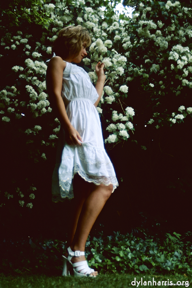 Image 'lisa (xvi) 3'.