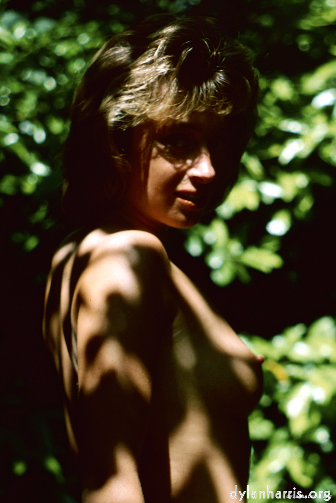 Image 'lisa (xvi) 5'.