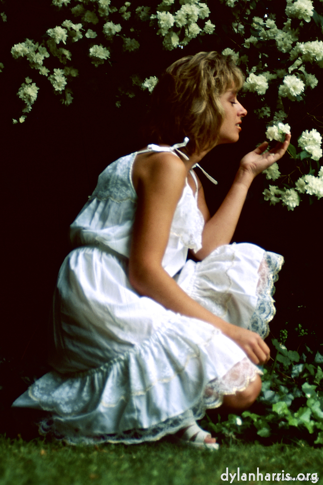 Image 'lisa (xvi) 8'.