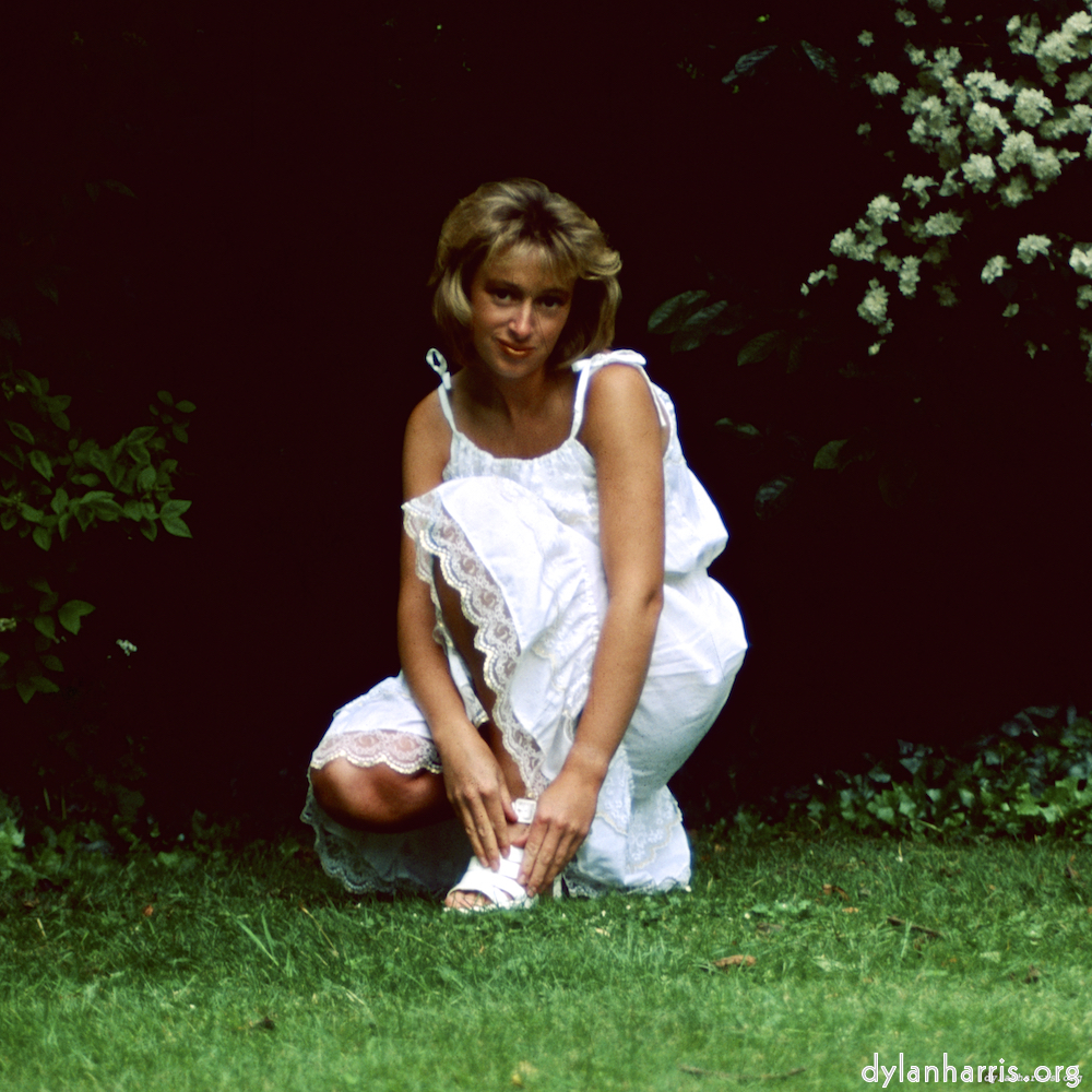 Image 'lisa (xvii) 5'.