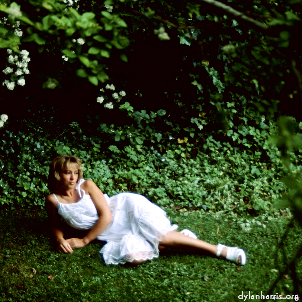 Image 'lisa (xvii) 6'.