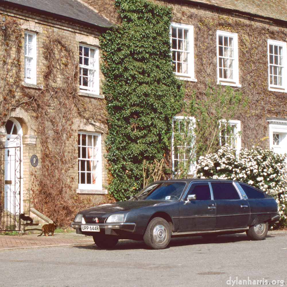 image: This is &lsquo;citro&euml;n (xviii) 2&rsquo;.