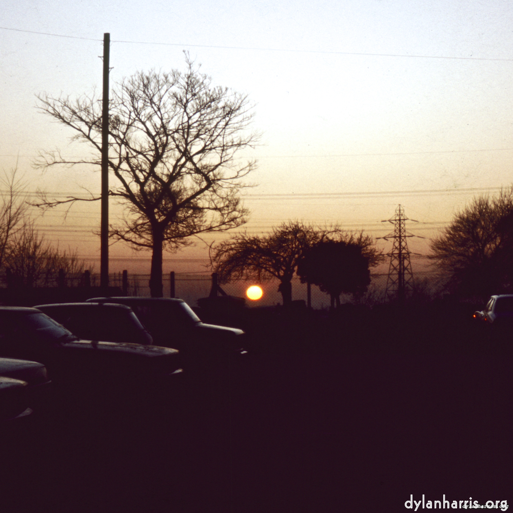 image: This is &lsquo;ancestors 4&rsquo;.