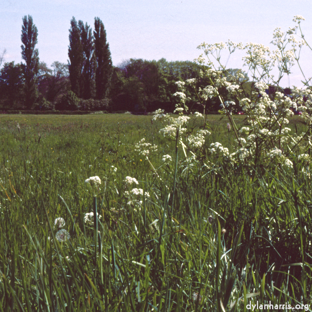 Image: Image 'south 4'.