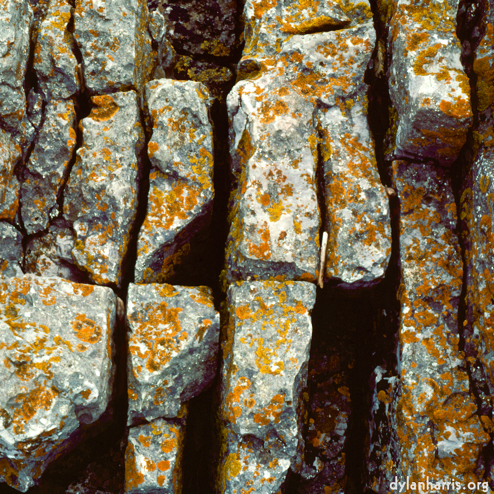 image: This is &lsquo;yorkshire (vi) 3&rsquo;.