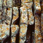 Third image from the photoset 'yorkshire (vi)'.