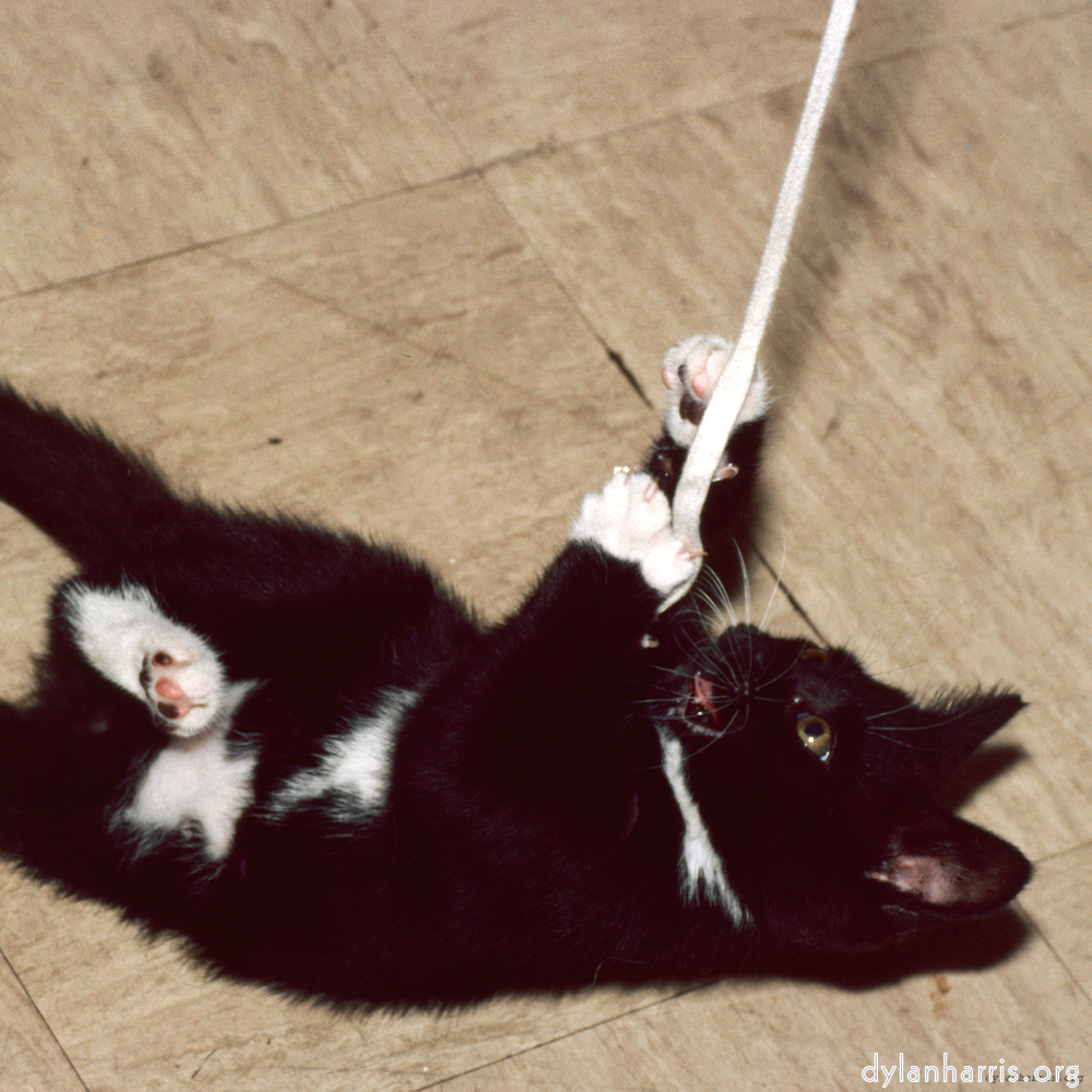 Image: Image 'untitled (xxxviii) 1'.