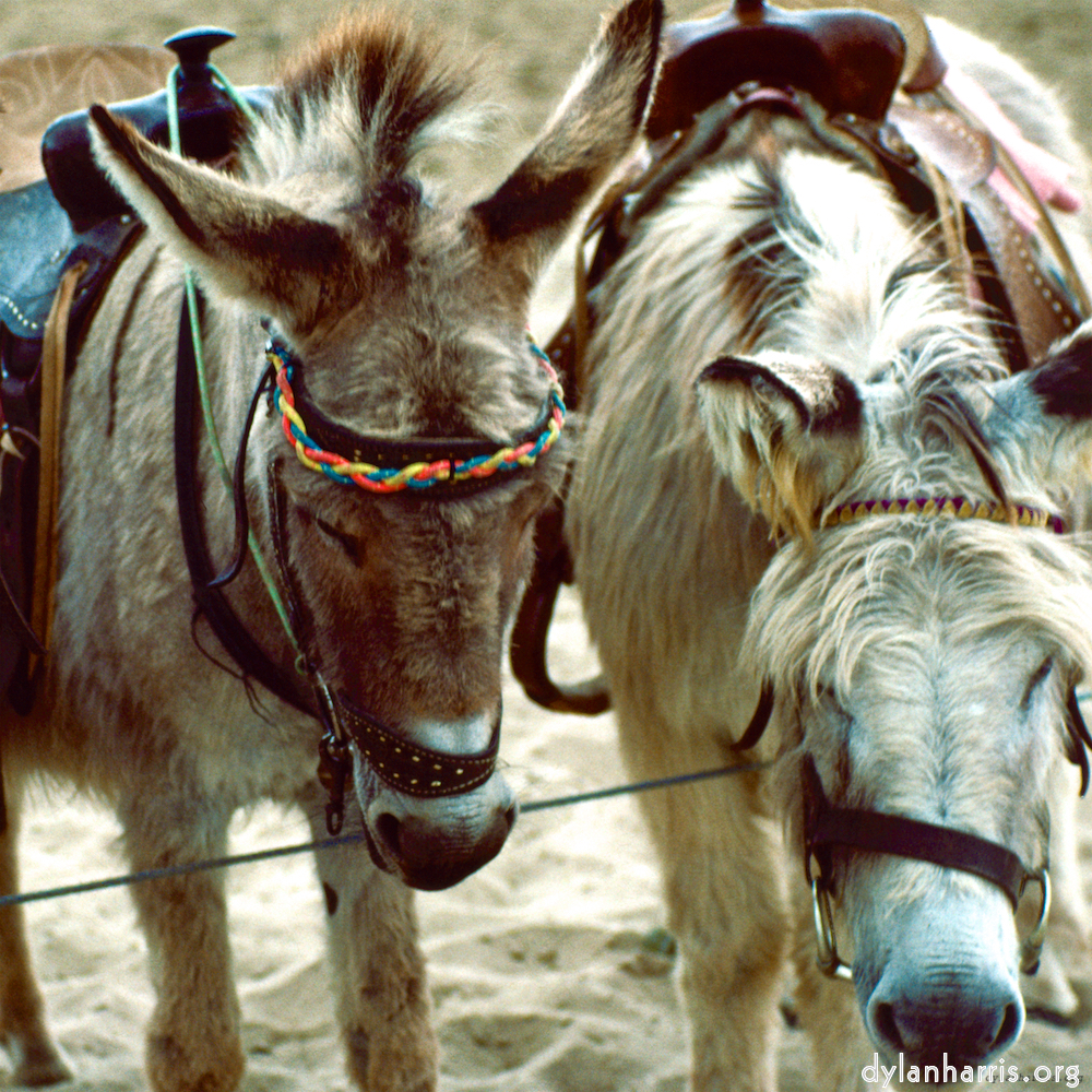 image: This is &lsquo;untitled (xxxviii) 3&rsquo;.