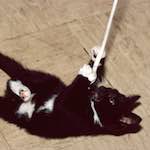 Image: First image from the photoset 'untitled (xxxviii)'.