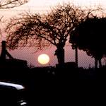 Fourth image from the photoset 'oh i did not know'.