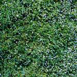 image: Image from the photoset &lsquo;yorkshire (vii)&rsquo;.