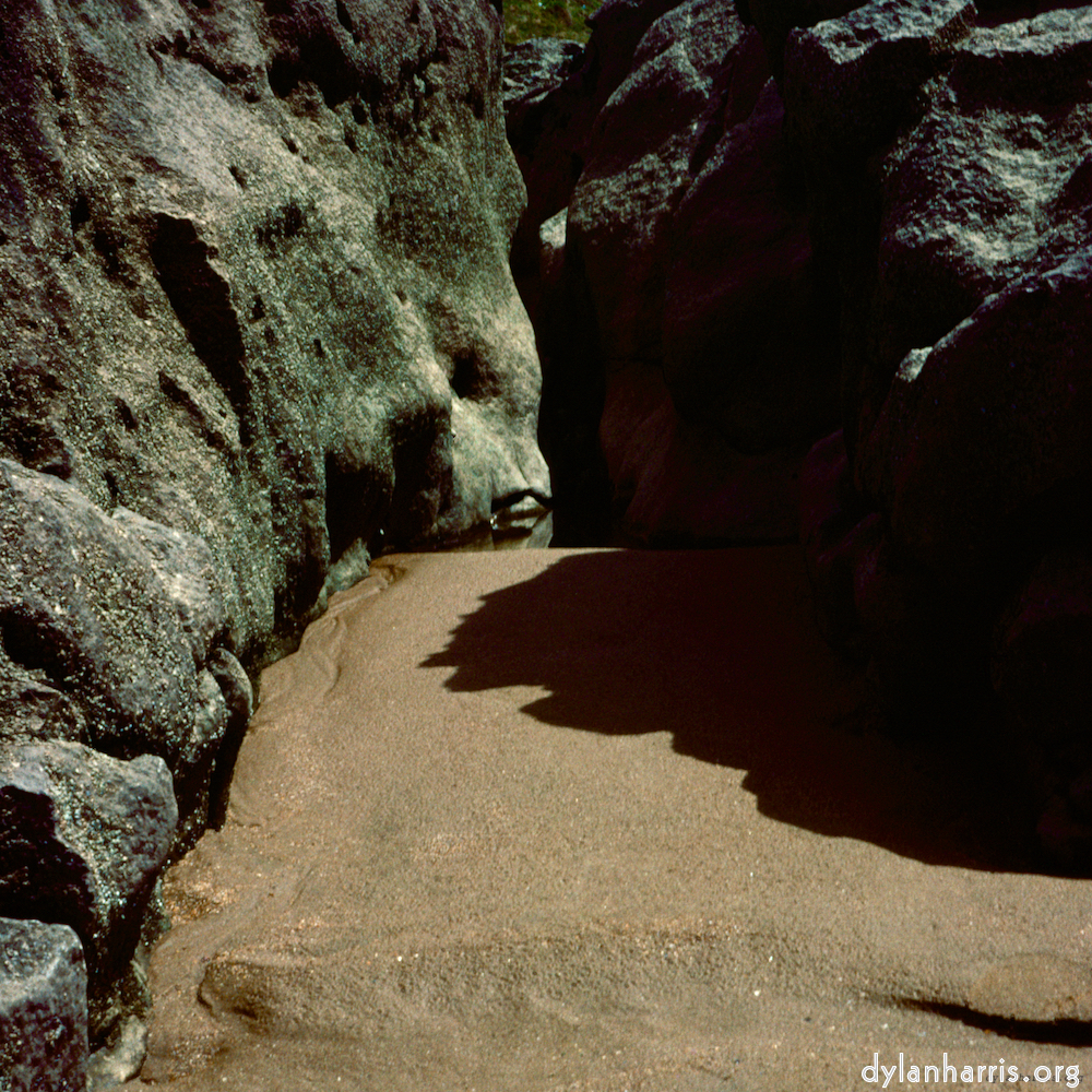 Image: Image 'family (xviii) 3'.