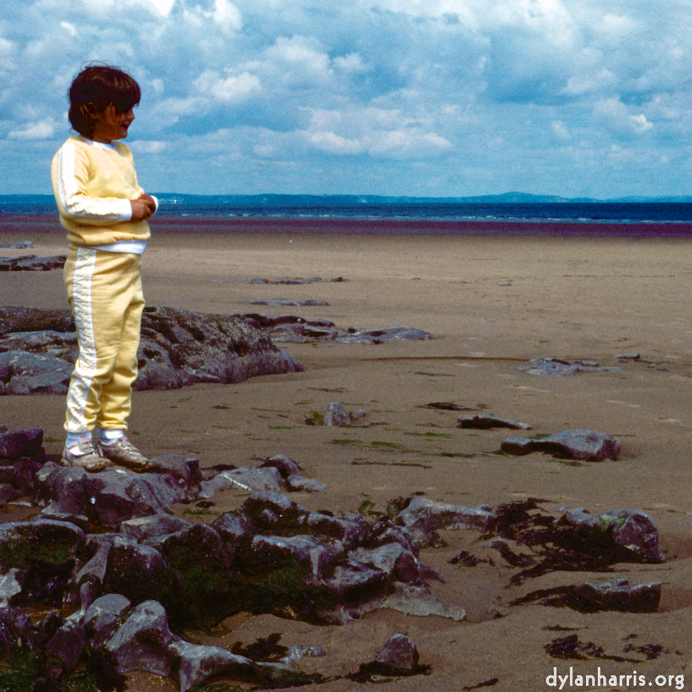 Image: Image 'family (xvii) 1'.