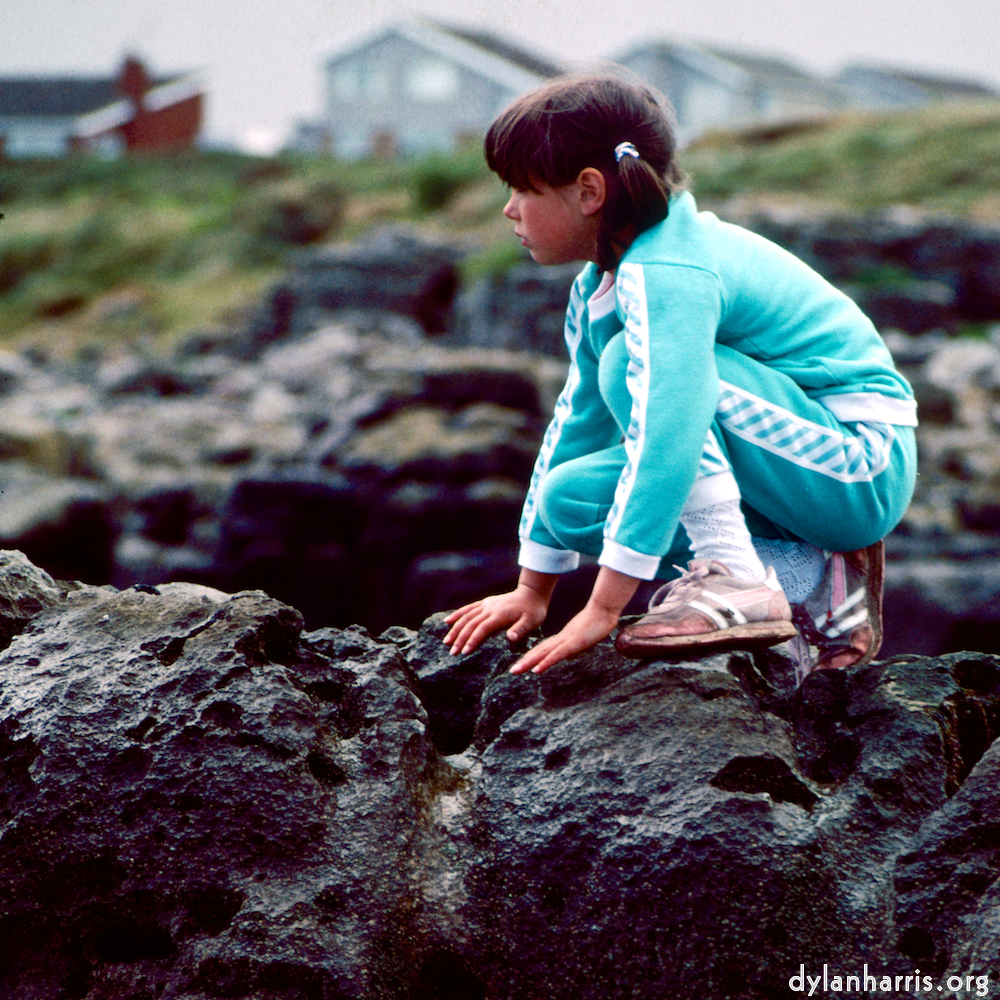 Image 'family (xvii) 2'.