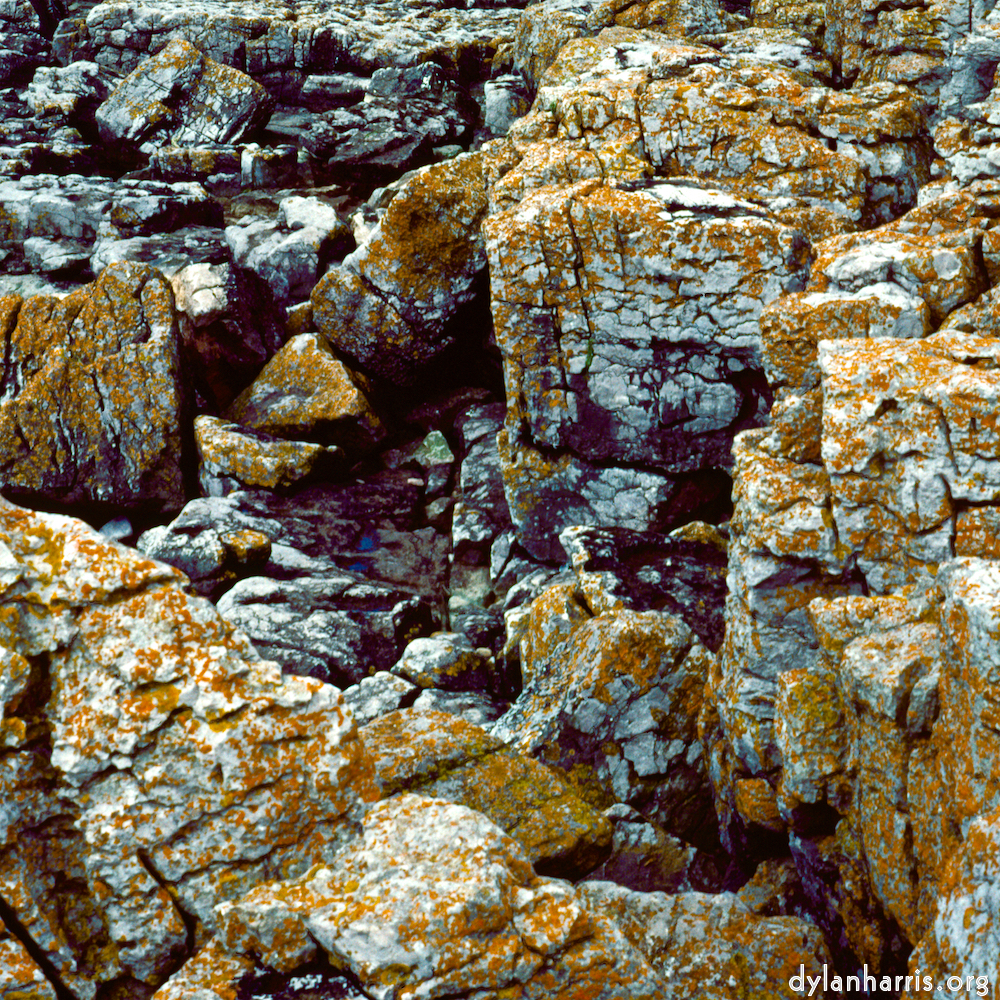 Image 'family (xvii) 3'.