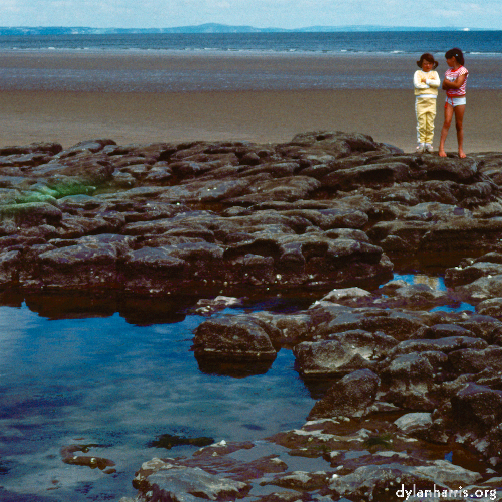 Image: Image 'family (xvii) 4'.