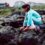 family (xvii) photoset