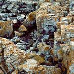 Third image from the photoset 'family (xvii)'.