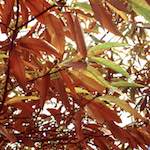 image: Image from the photoset &lsquo;untitled (xl)&rsquo;.