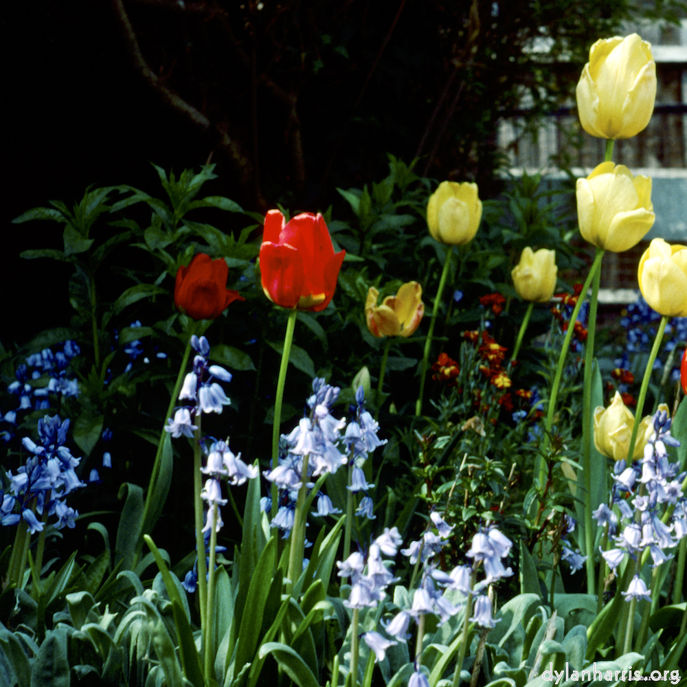 Image 'untitled (xli) 6'.