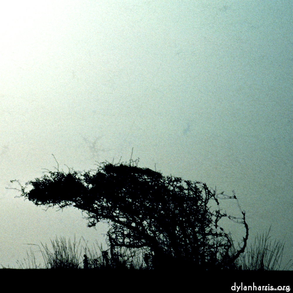 Image: Image 'untitled (xli) 8'.